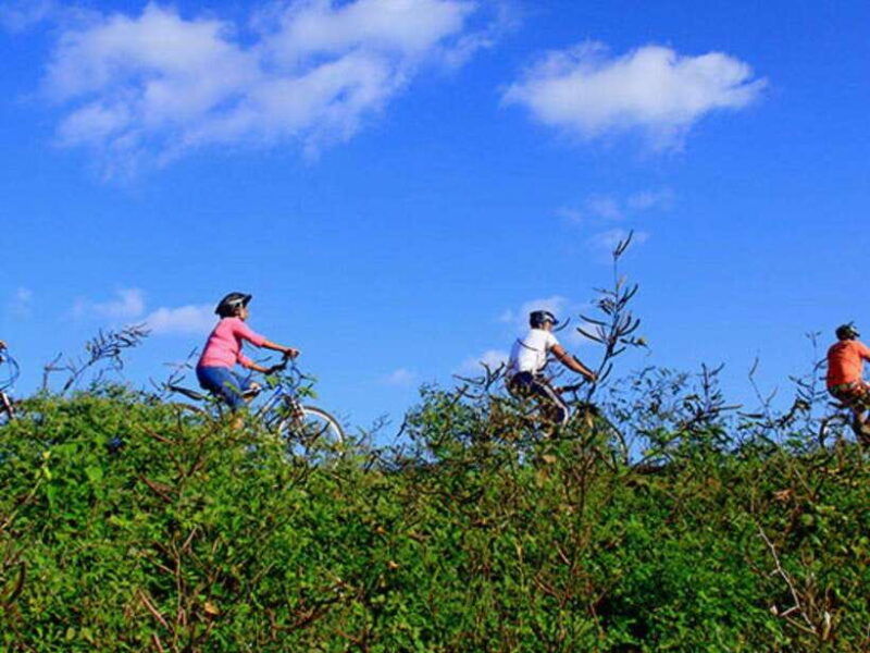 from-bentota-beruwala-scenic-countryside-cycling-adventure