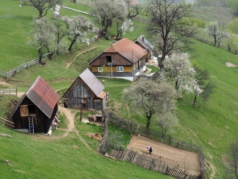 from-brasov-romanian-mountain-villages-day-tour