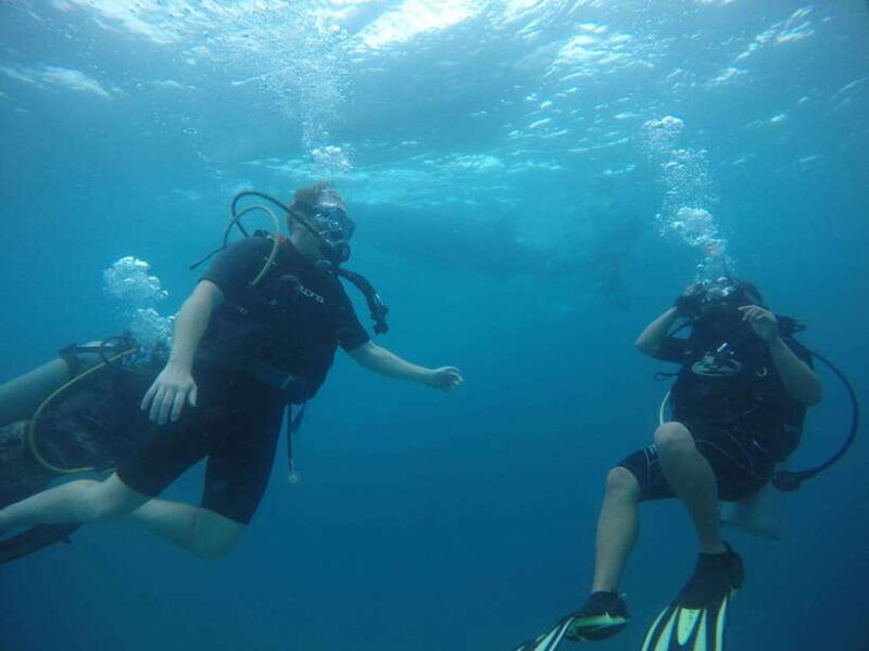 from-cebu-city-scuba-diving-adventure-with-whale-sharks