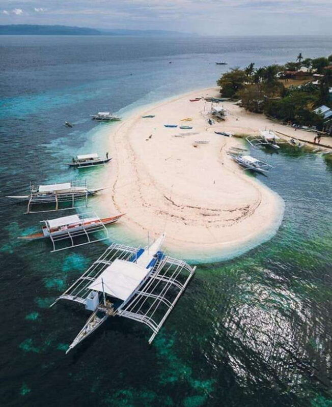 from-cebupamilacan-virgin-island-dolphin-watching-lunch