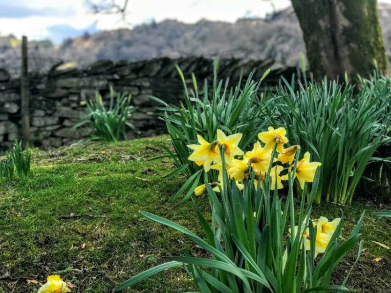 from-chester-lake-district-full-day-guided-sightseeing-tour