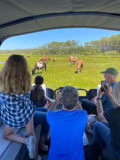 from-chincoteague-pony-and-wildlife-boat-tour