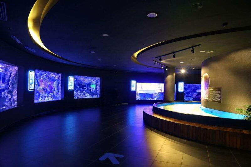 from-city-of-side-antalya-aquarium-full-day-trip