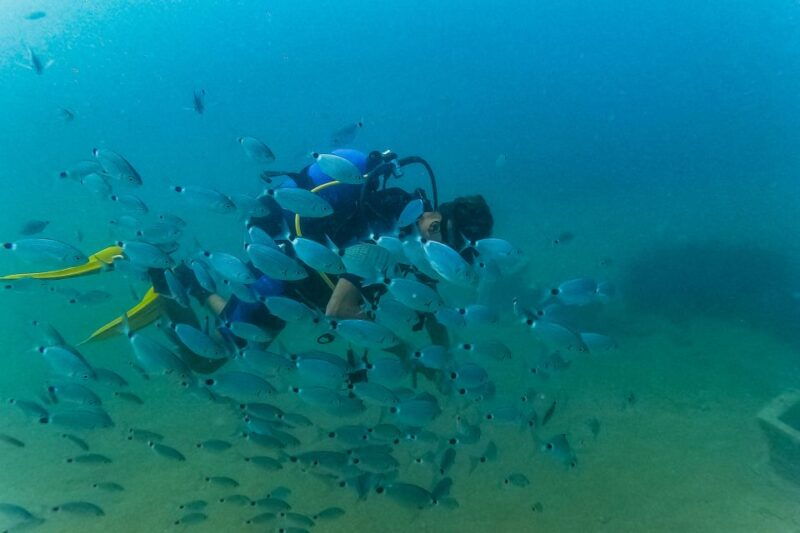 from-city-of-side-full-day-scuba-diving-in-manavgat