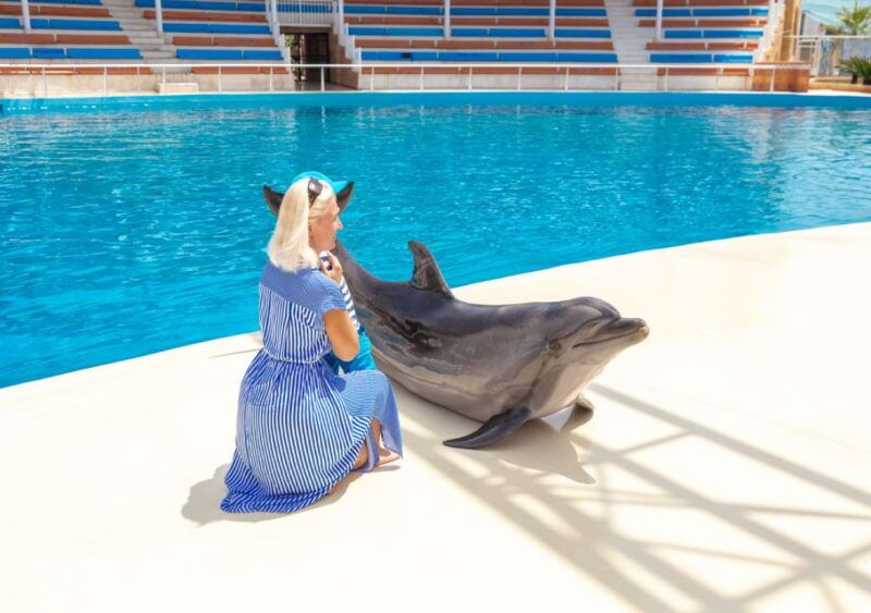 from-city-side-alanya-sealanya-dolphin-show-with-transfers