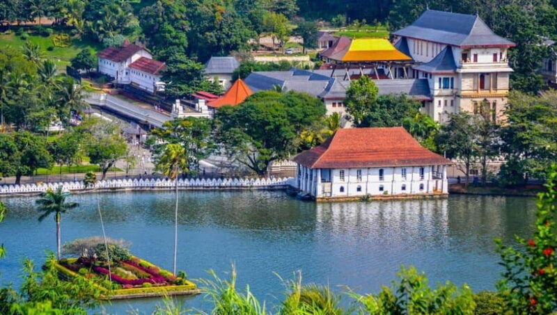 from-colombo-discover-elephant-orphanage-and-kandy-day-tour