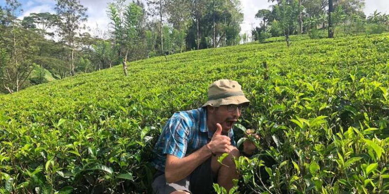 from-colombo-virgin-white-tea-and-galle-city-tour