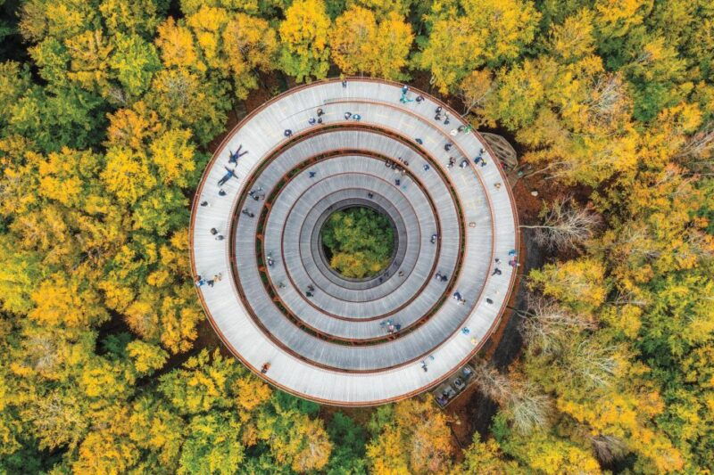 from-copenhagen-round-trip-to-mons-klint-and-forest-tower