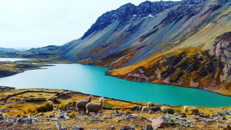 from-cusco-ausangate-7-lagoons-tour-1-day