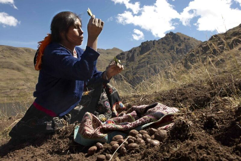 from-cusco-indigenous-potato-farm-cultural-experience