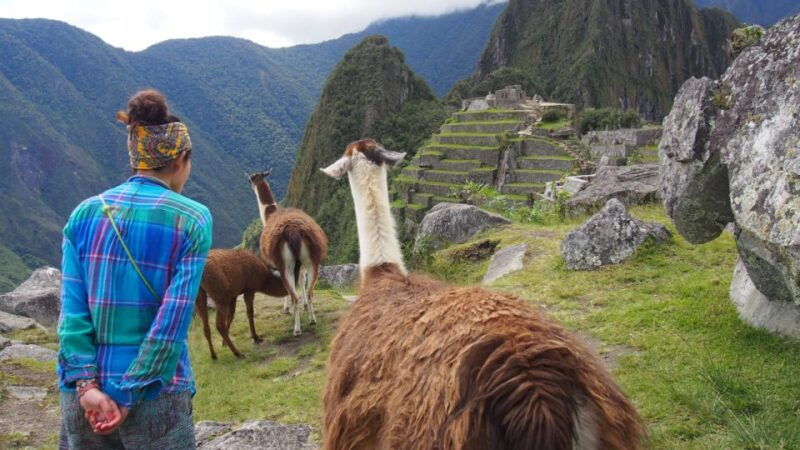 from-cusco-machu-picchu-day-trip