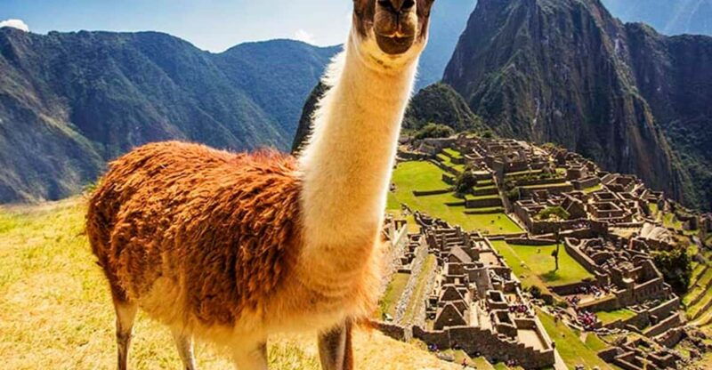 from-cusco-machu-picchu-tour-1-day-by-train-lunch