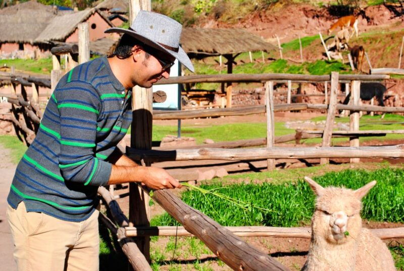 from-cusco-private-pisac-ruins-and-alpaca-farm-day-trip