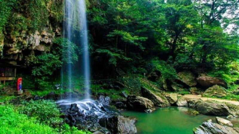 from-da-nang-hue-bach-ma-national-park-day-trip