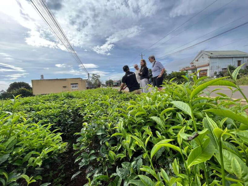 from-dalat-mui-ne-countryside-and-white-sand-dunes-tour
