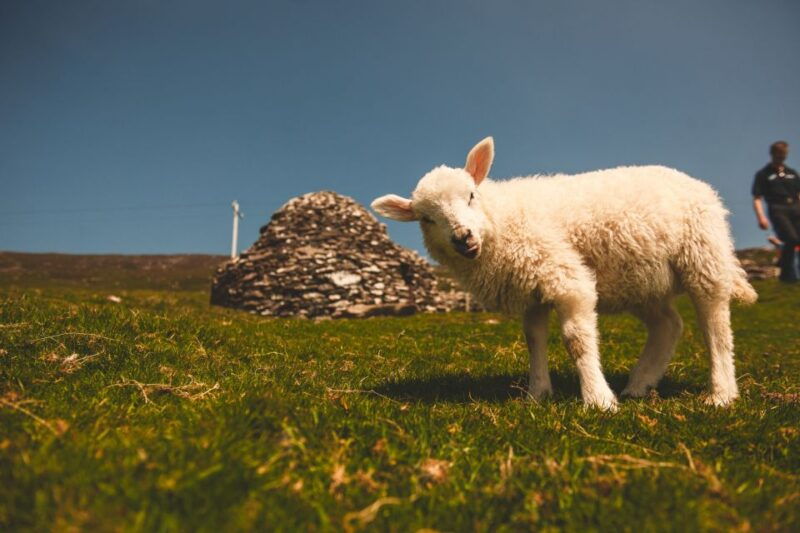 from-dublin-3-day-dingle-killarney-the-wild-atlantic-way