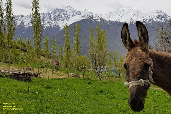 From Dushanbe to Wakhan corridor and back - Who Should Consider This Tour?