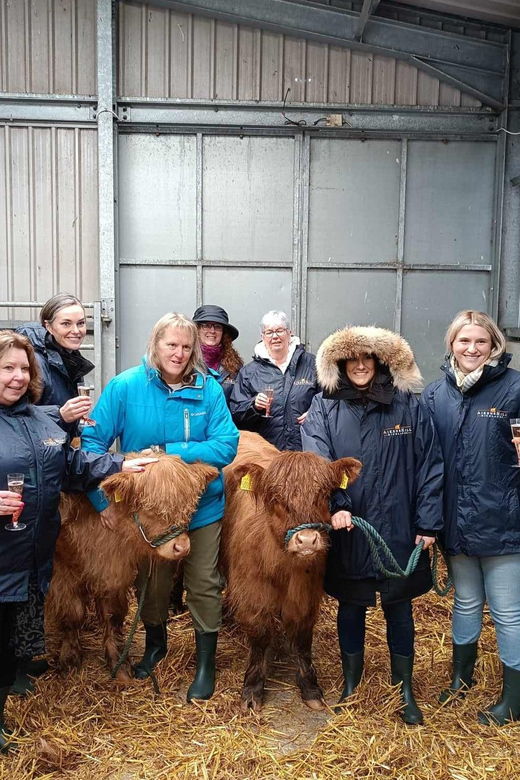 from-edinburgh-scottish-highlands-full-day-tour