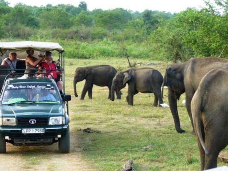 from-ella-udawalawe-yala-national-parks-2-day-tour
