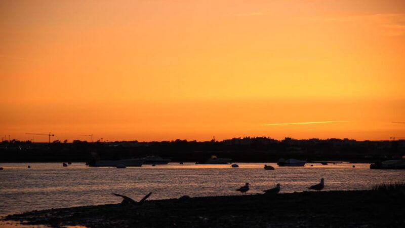 from-faro-ria-formosa-sunset-boat-trip