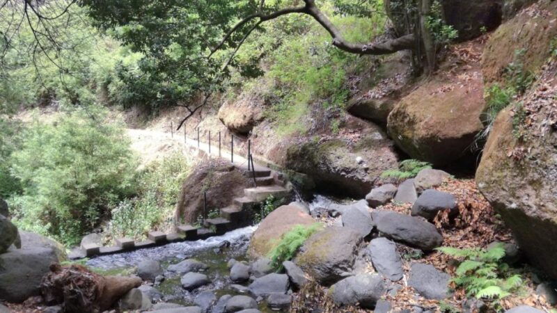 from-funchal-wet-your-hair-in-the-amazing-moinhos-levada