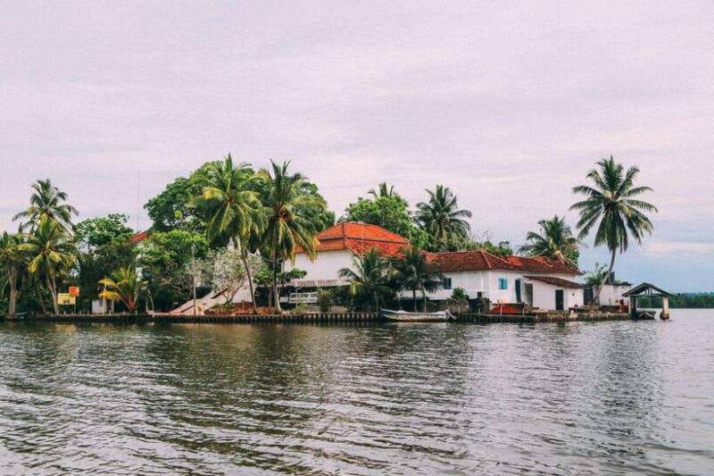 from-galle-exclusive-madu-river-safari-turtle-hatchery