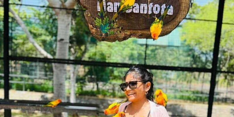 from-galle-weligama-mirissa-yala-safari-bird-park-tour