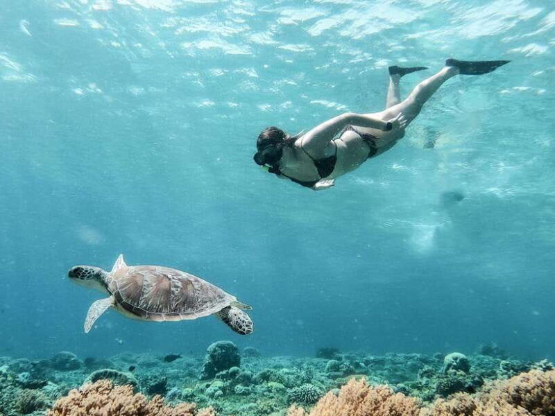 from-gili-meno-private-snorkeling-with-turtle-statue