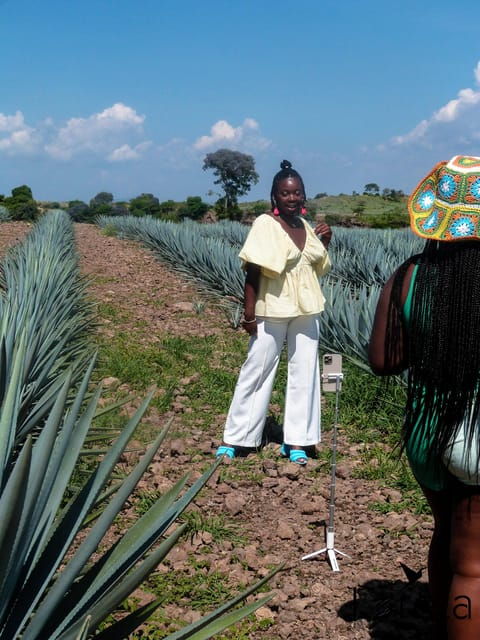 from-guadalajara-tequila-factory-and-panoramic-swing-tour