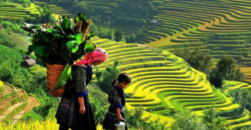 from-hanoi-2-day-2-night-sapa-tour-by-overnight-train