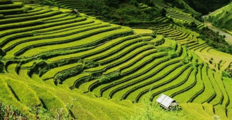 from-hanoi-2-days-sapa-trekking-tour-lao-chai-and-cat-cat