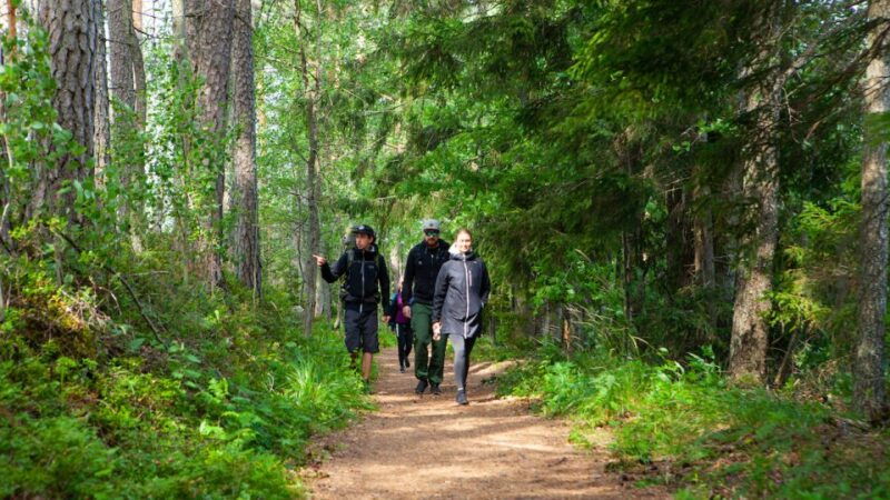 from-helsinki-berry-picking-day-trip-in-a-national-park