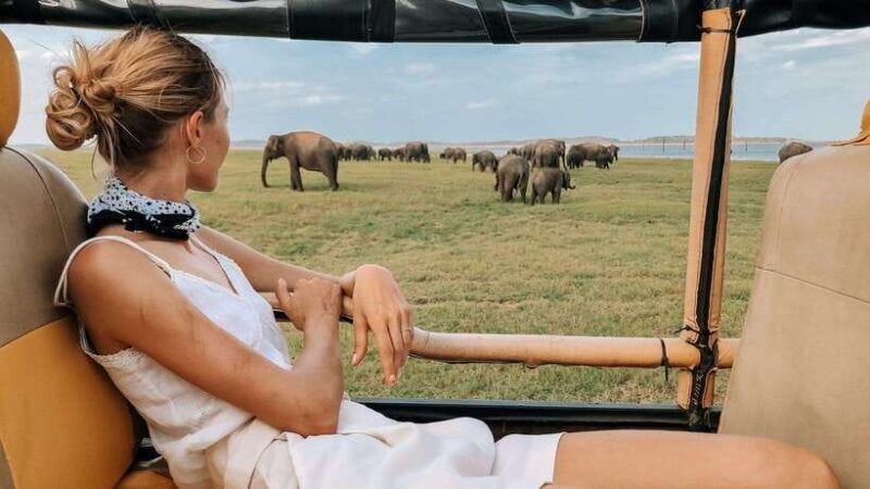from-hikkaduwa-galle-weligama-mirissa-udawalawa-safari-tour