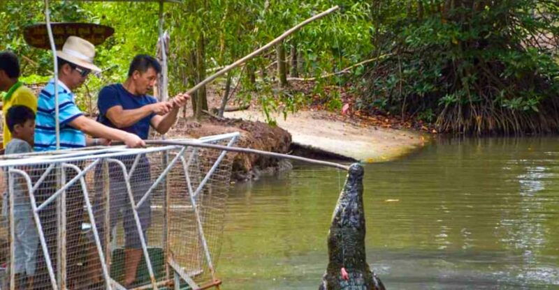 from-ho-chi-minh-city-group-tour-can-gio-mangrove-forest