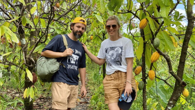 from-ho-chi-minh-city-less-tourist-2d-tour-ben-tre-can-tho
