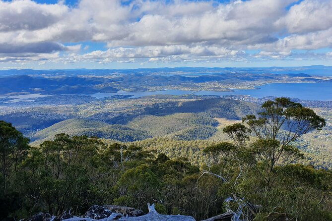 From Hobart: Mt Wellington Morning Walking Tour - Authentic Insights from Past Participants