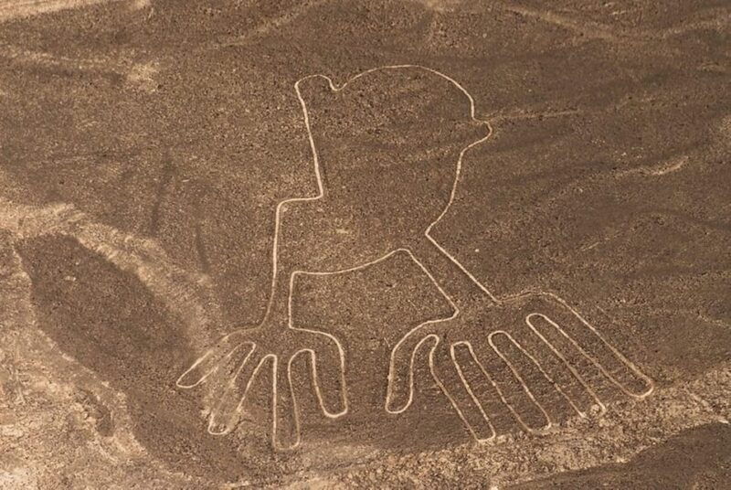 from-ica-or-huacachina-flight-tour-nazca-lines-overflight