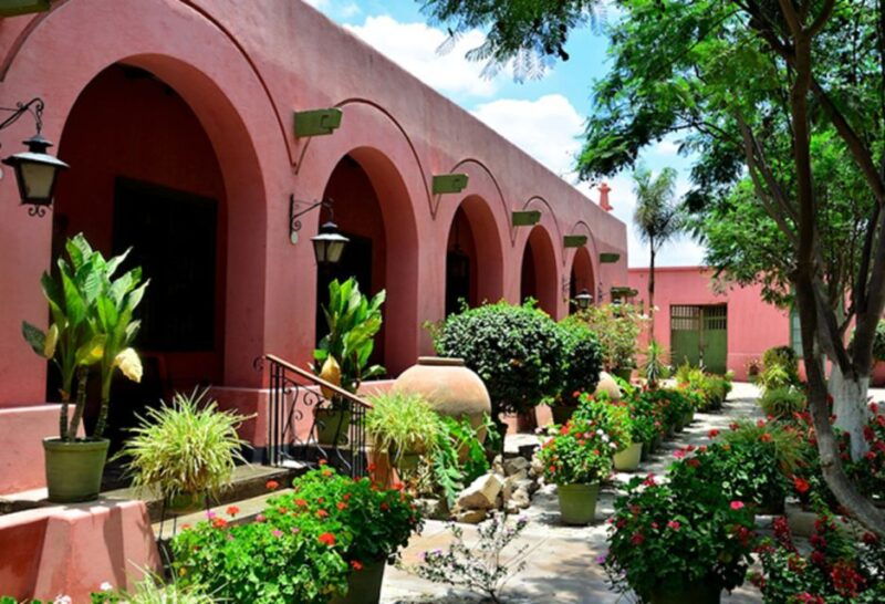 from-ica-or-huacachina-pisco-and-wine-tour-with-desert-trip