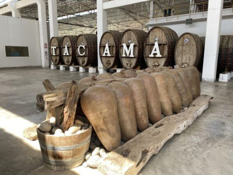 from-ica-tour-to-wine-and-pisco-vineyards-free-tasting