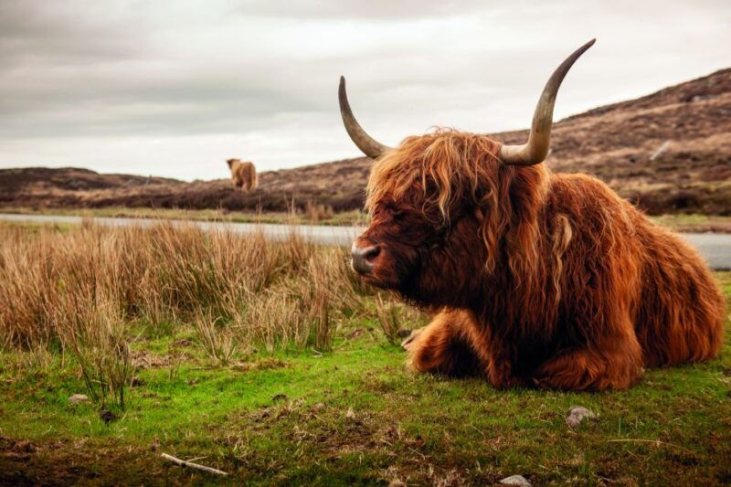 from-inverness-3-day-orkney-explorer
