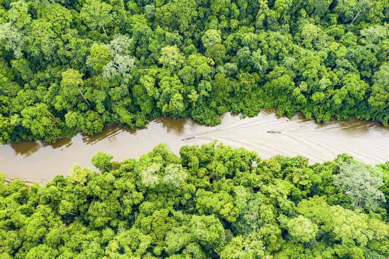 from-iquitos-6-day-amazon-rainforest-tour-2