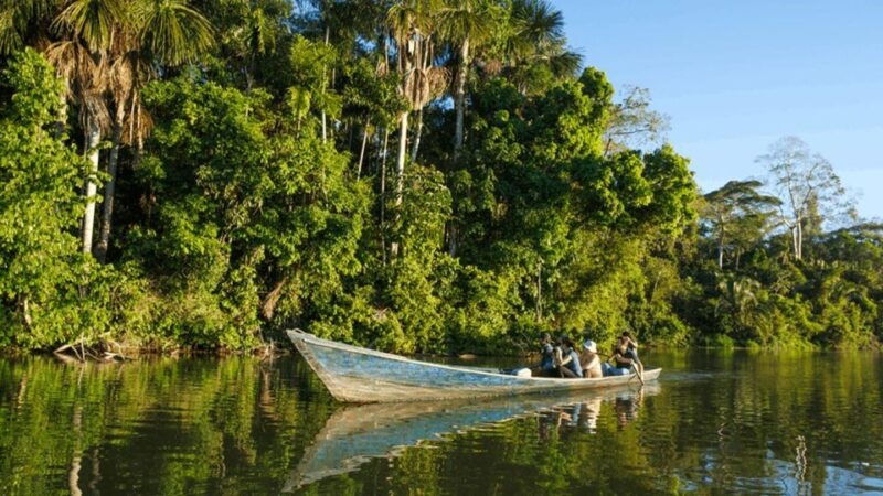 from-iquitos-full-day-tour-in-the-peruvian-jungle