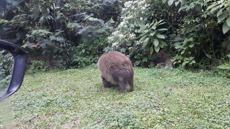 from-jakarta-private-taman-safari-day-tour