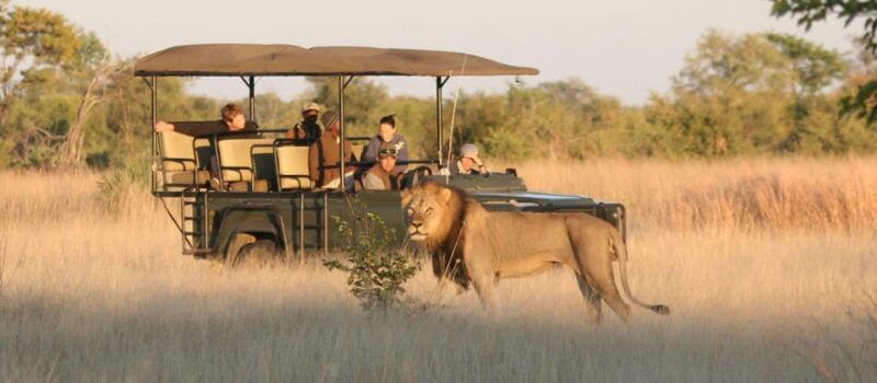 from-johannesburg-12-day-private-tour-to-cape-town