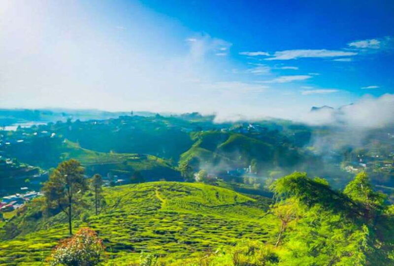 from-kandy-all-inclusive-nuwara-eliya-day-tour-with-lunch