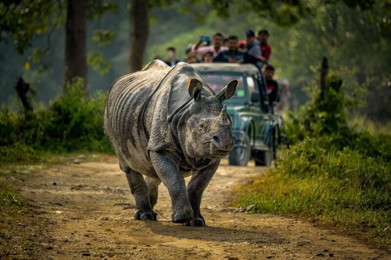 from-kathmandu-pokhara-3-day-all-inclusive-chitwan-safari