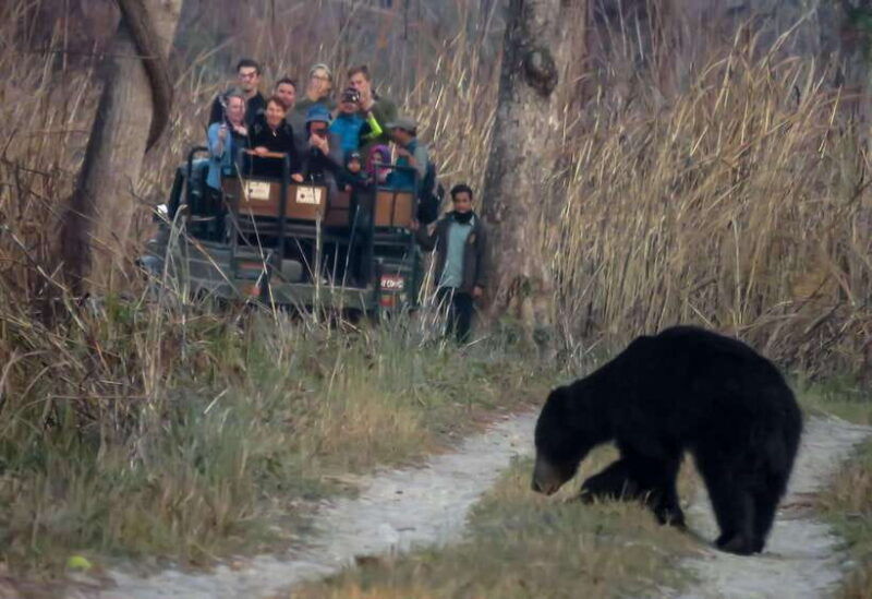 from-kathmandu-pokhara-3-days-chitwan-national-park-tours
