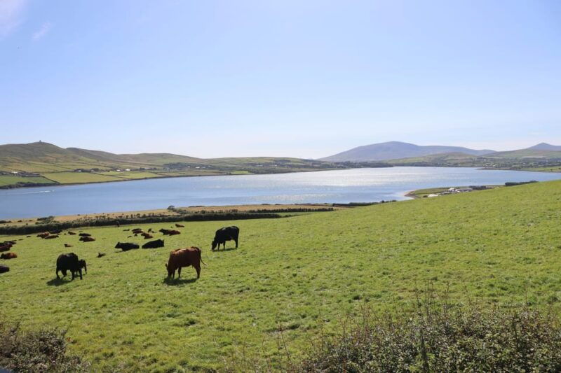 from-killarney-dingle-peninsula-and-slea-head-day-tour