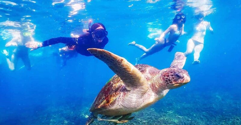 from-krabi-surin-islands-snorkeling-tour-w-meals