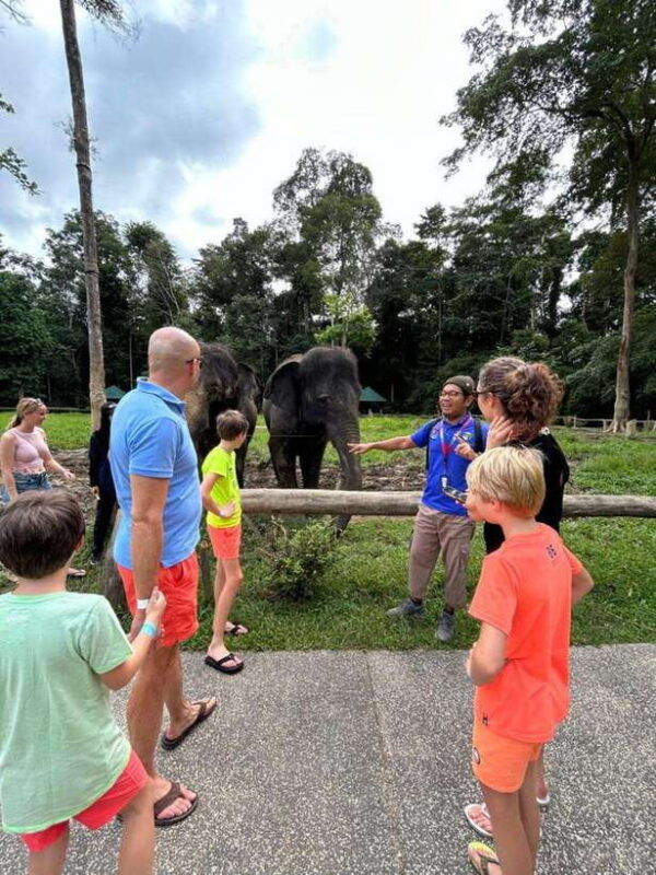 from-kuala-lumpur-elephant-sanctuary-guided-tour